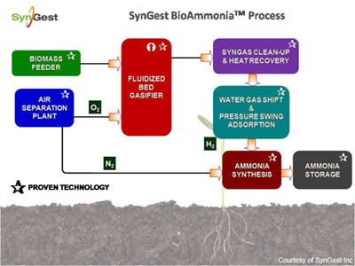 proses bioammonia syngest