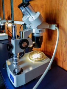 supplier alat laboratorium indonesia