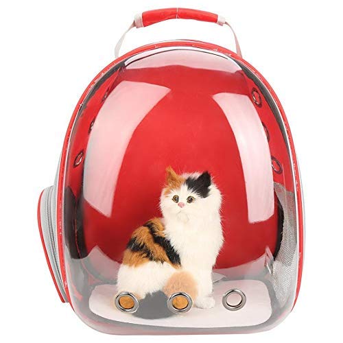 Tips Terbaik Memilih Tas Kucing Astronot